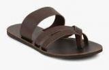 Tortoise Brown Slippers Men