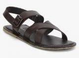 Turtle Brown Sandals Men