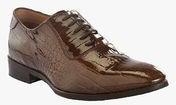 Turtle Coffee Formal Shoes men