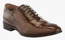 Turtle Coffee Formal Shoes men