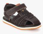 Tuskey Coffee Brown Sandals Boys