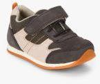 Tuskey Coffee Brown Sneakers Boys