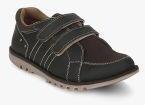 Tuskey Coffee Brown Velcro Sneakers Shoe Boys