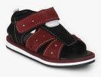 Tuskey Maroon Casual Leather Sandal Boys