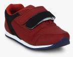 Tuskey Maroon Sneakers Boys