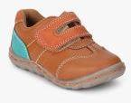 Tuskey Tan Velcro Casual Shoe Boys