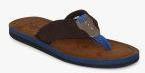 U S Polo Assn Brown Comfort Sandals men