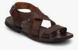 U S Polo Assn Brown Sandals Men