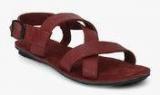 U S Polo Assn Downey Maroon Sandals Men