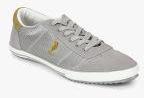 U S Polo Assn Elmo Grey Sneakers Men