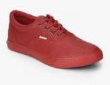 U S Polo Assn Frank Red Sneakers Men