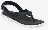 U S Polo Assn Gavin Black Sandals Men