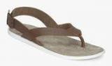 U S Polo Assn Gavin Brown Sandals men