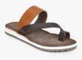 U S Polo Assn Julio Brown Slippers men