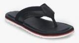 U S Polo Assn Murray Black Slippers Men