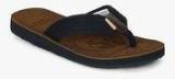 U S Polo Assn Upton Navy Blue Slippers Men