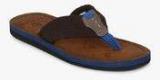 U S Polo Assn Weber Brown Slippers Men