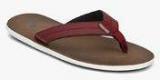 United Colors Of Benetton Maroon Slippers Men