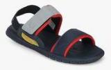 United Colors Of Benetton Navy Blue Sandals Men