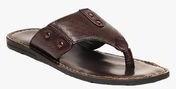 Urbane Brown Sandals Men