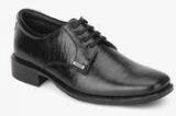 Valentino T Clark Black Derby Formal Shoes Men