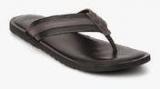 Van Heusen Black Slippers Men