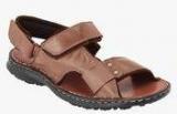 Ventoland Brown Sandals Men