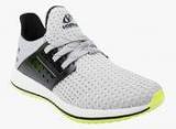 Vostro Grey Training Shoes Men