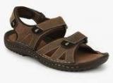 Weinbrenner Lagos Brown Sandals Men