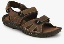 Weinbrenner Lagos Brown Sandals men