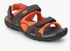 Wildcraft Brown & Orange Colourblocked Sandals Men