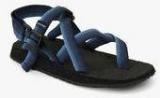 Wildcraft Gladiator Blue Floaters Men