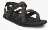 Wildcraft Gladiator Olive Floaters Men