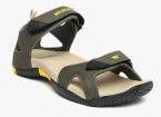 Wildcraft Olive Green Sports Sandals Men