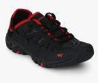 Wildcraft Trail Shoe Black Outdoor Shoes Men