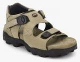 Woodland Beige Sandals Men