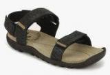 Woodland Black Sandals Men