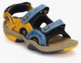 Woodland Blue Sandals Men