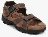 Woodland Brown Sandals Men