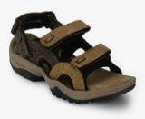 Woodland Camel Brown Sandals Men