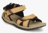 Woodland Camel Floaters Men