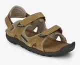 Woodland Camel Sandals Boys