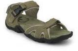 Woodland Khaki Sandals Men