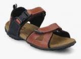 Woodland Tan Sandals Men