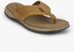 Woodland Tan Slippers men