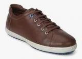 Woods Brown Casual Sneakers Women