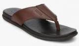 Woods Brown Slippers men