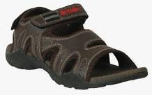 Action Shoes Ph 101 1 Brown Men Air Sandals