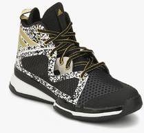 Adidas Adizero Pg Black Basketball Shoes men