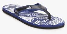 Adidas Aril Blue Flip Flops men